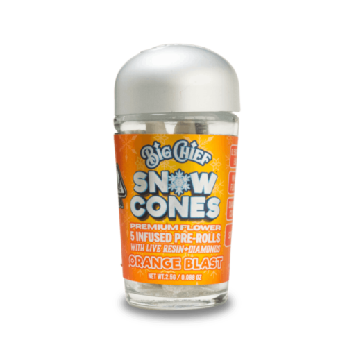 BIG CHIEF SNOW CONES